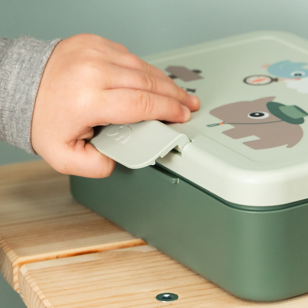 Lunch box w/divider - Tiny trails - Green