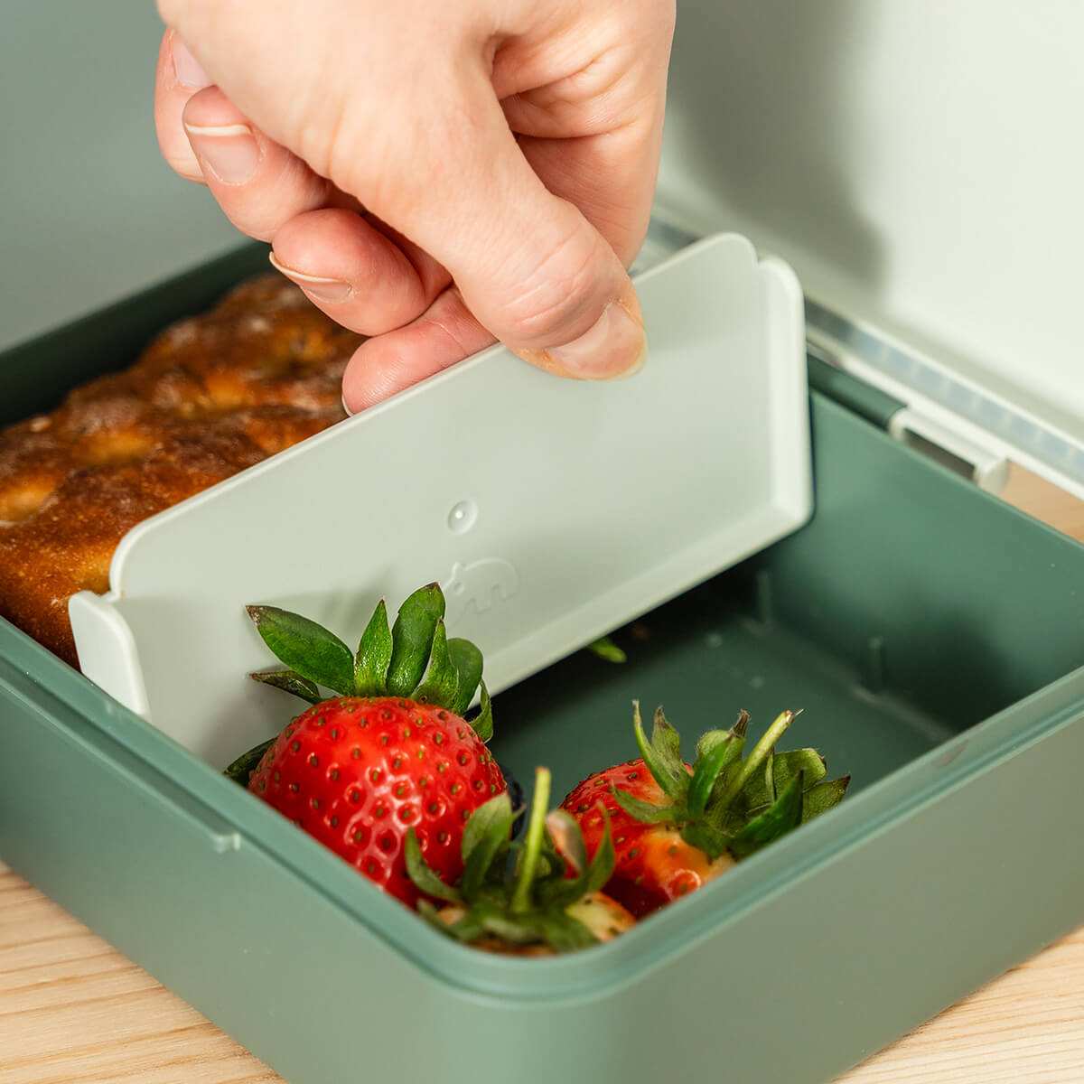 Lunch box w/divider - Tiny trails - Green