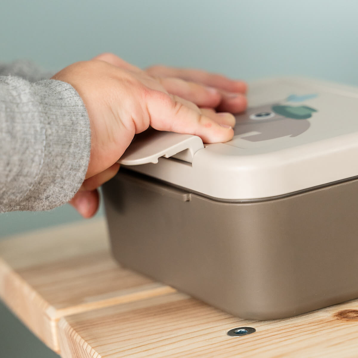 Tiny lunch box w/snack picks - Tiny trails - Sand