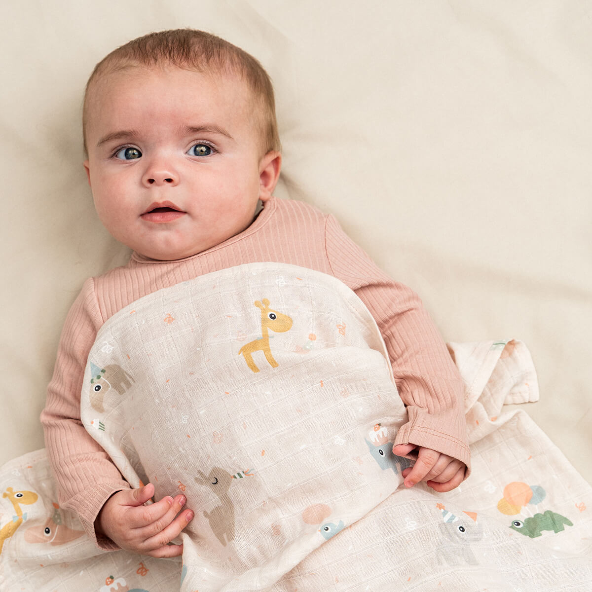 Swaddle - Celebration - Powder