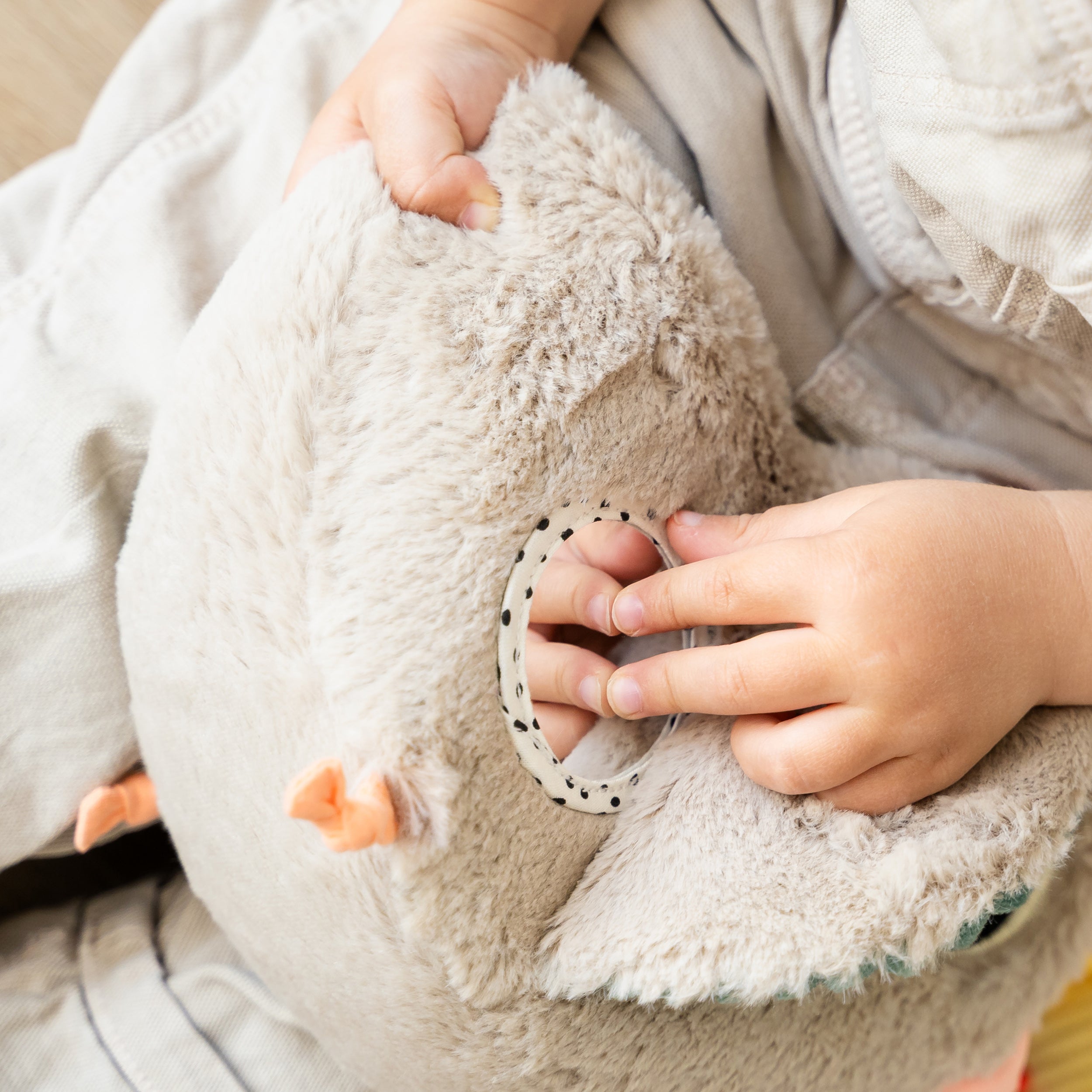 Hide&Seek activity toy - Clucky - Sand