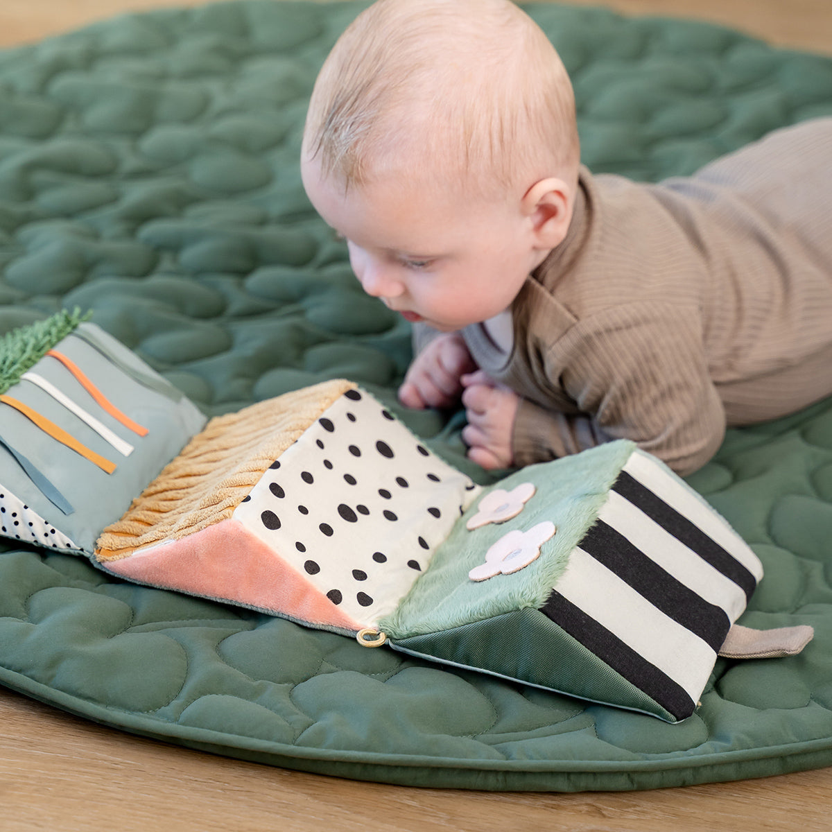 Espejo sensorial desplegable - Tiny farm - mezcla color