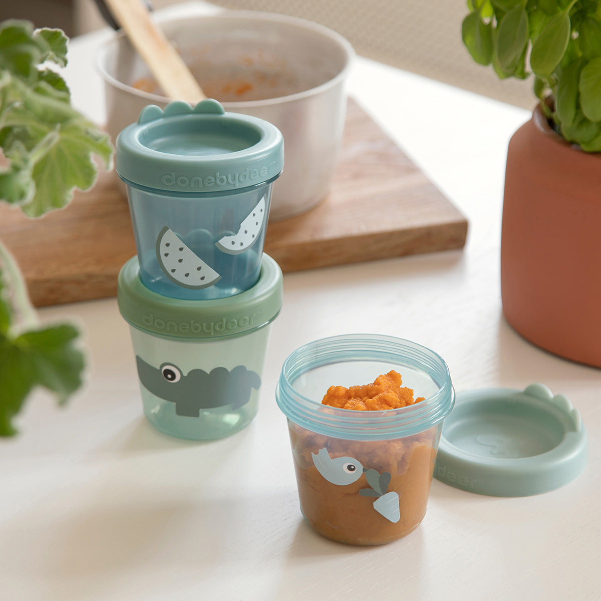 Pot de conservation lot de 3 - Croco - Vert