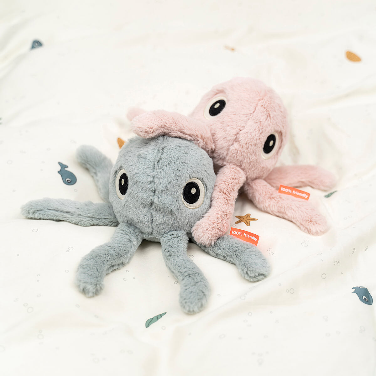 Cuddle cute - Jelly - Blue