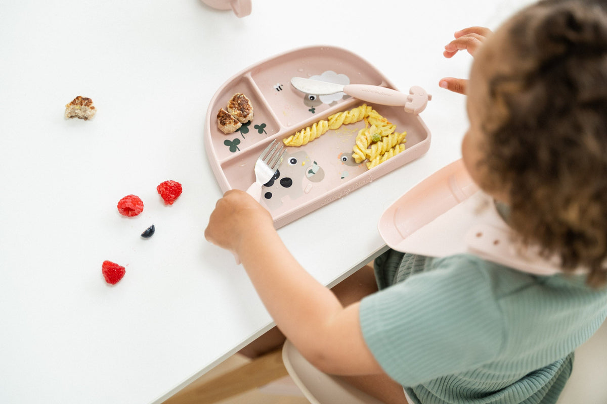dinnersets with compartments