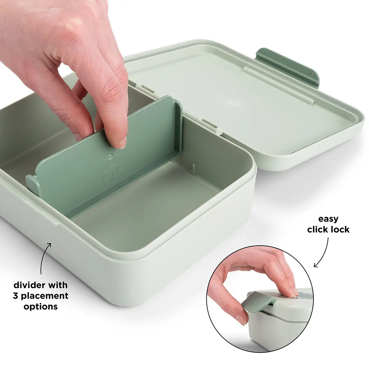 Lunch box w/divider - Playground - Green