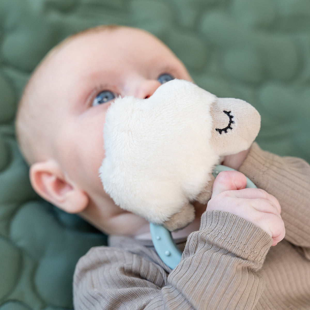 Sensory rattle w/teether - Sheepy - Blue