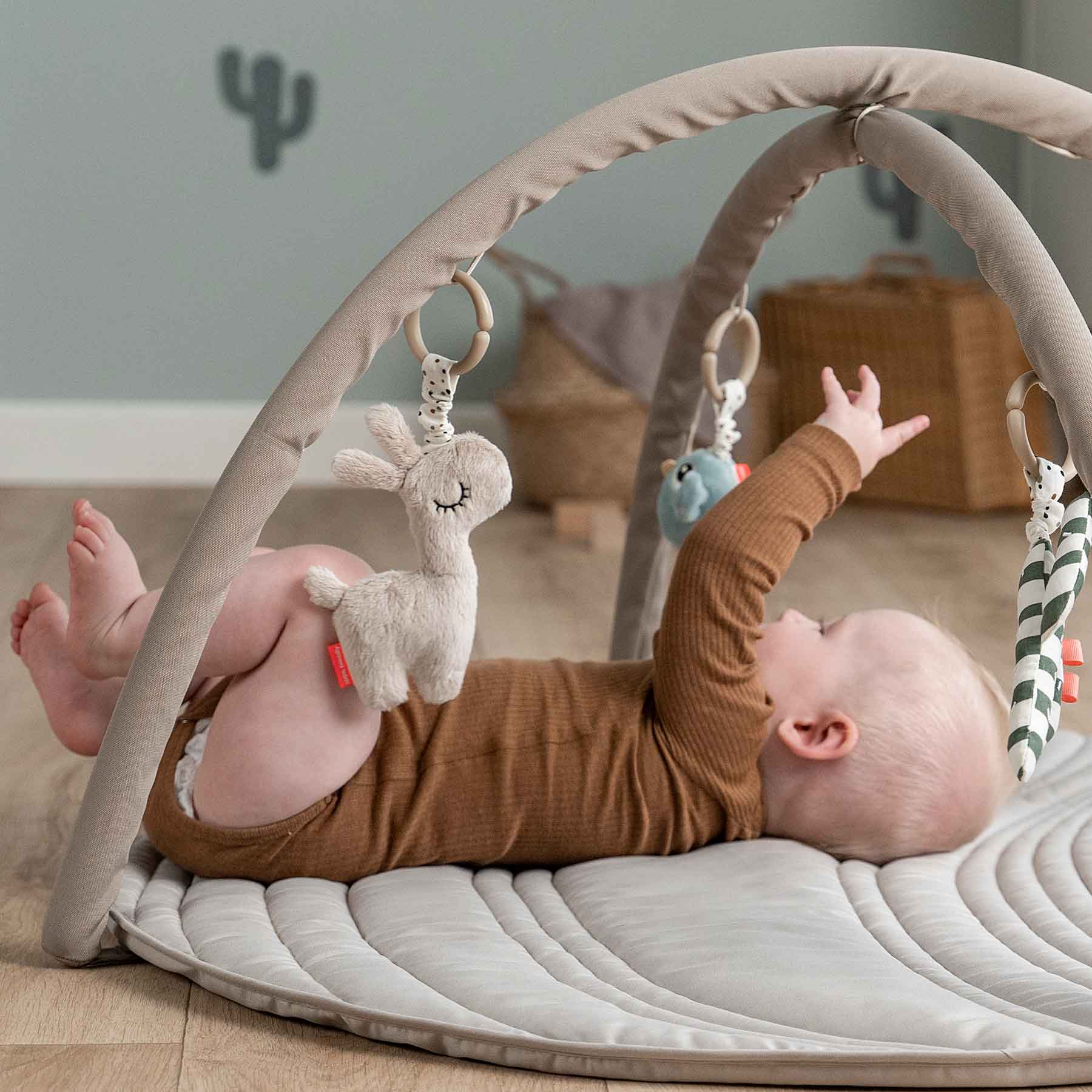 Appropriate toys for infants online