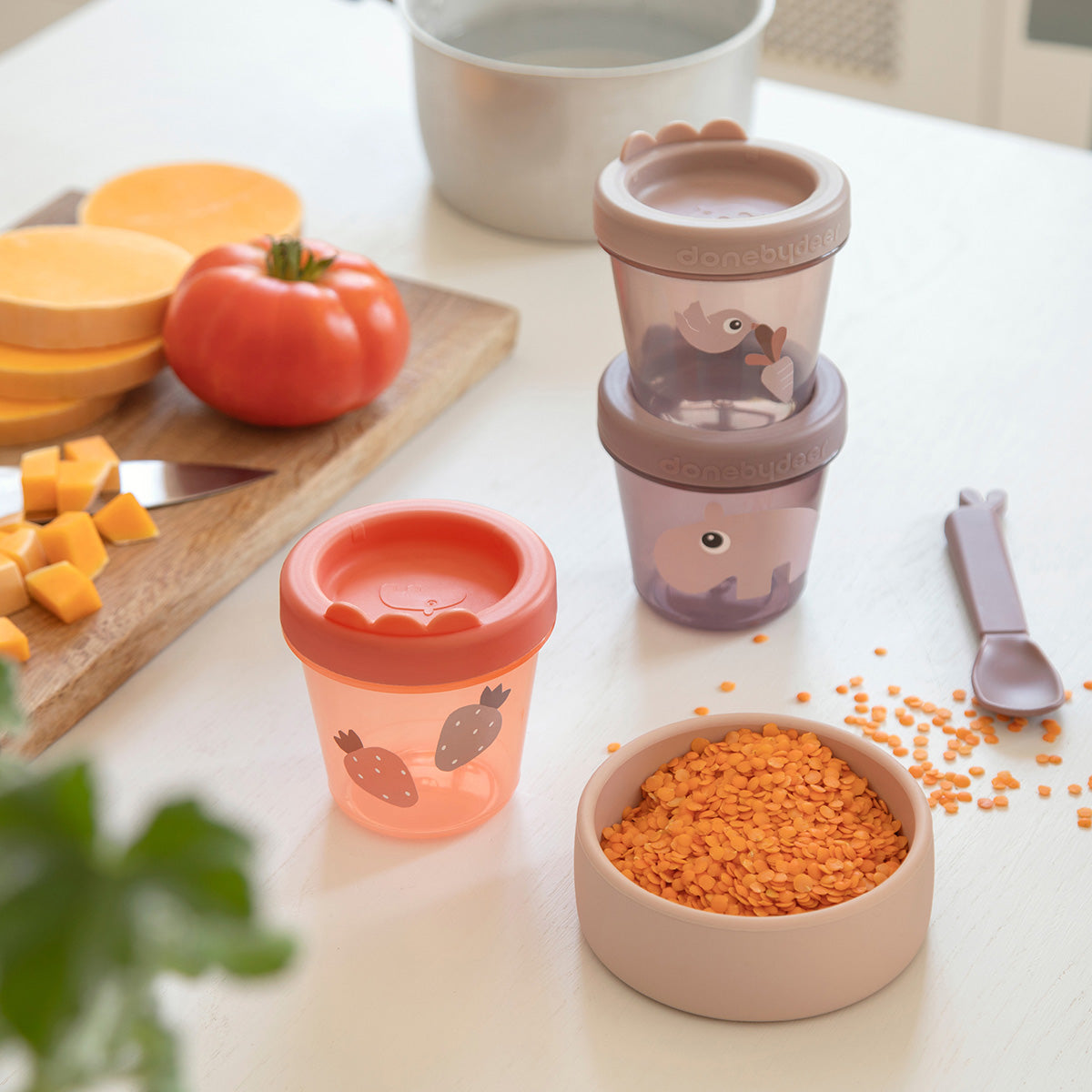 Baby food container 3-pack - Ozzo - Powder