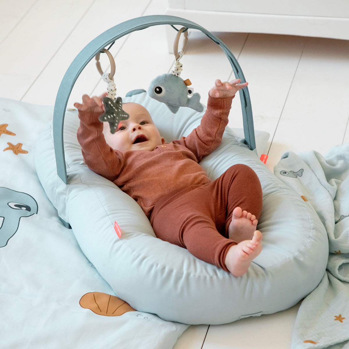 Cozy lounger avec arche d'activité - Raffi - Rose