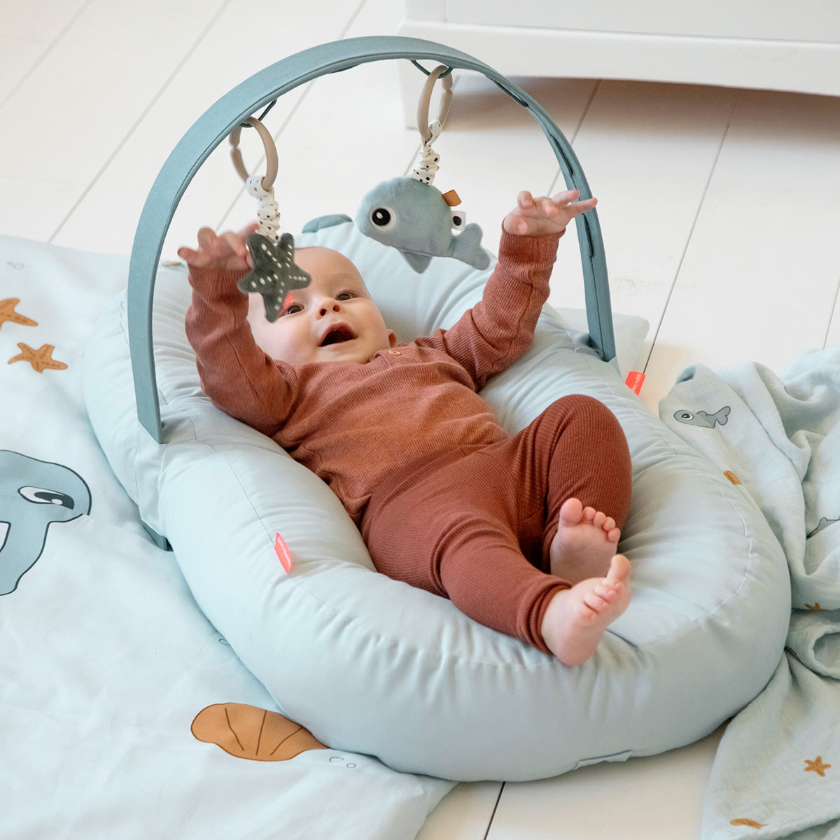 Cozy lounger with activity arch - Raffi - Powder