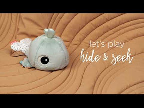 Hide & Seek activity toy - Wally - Blue